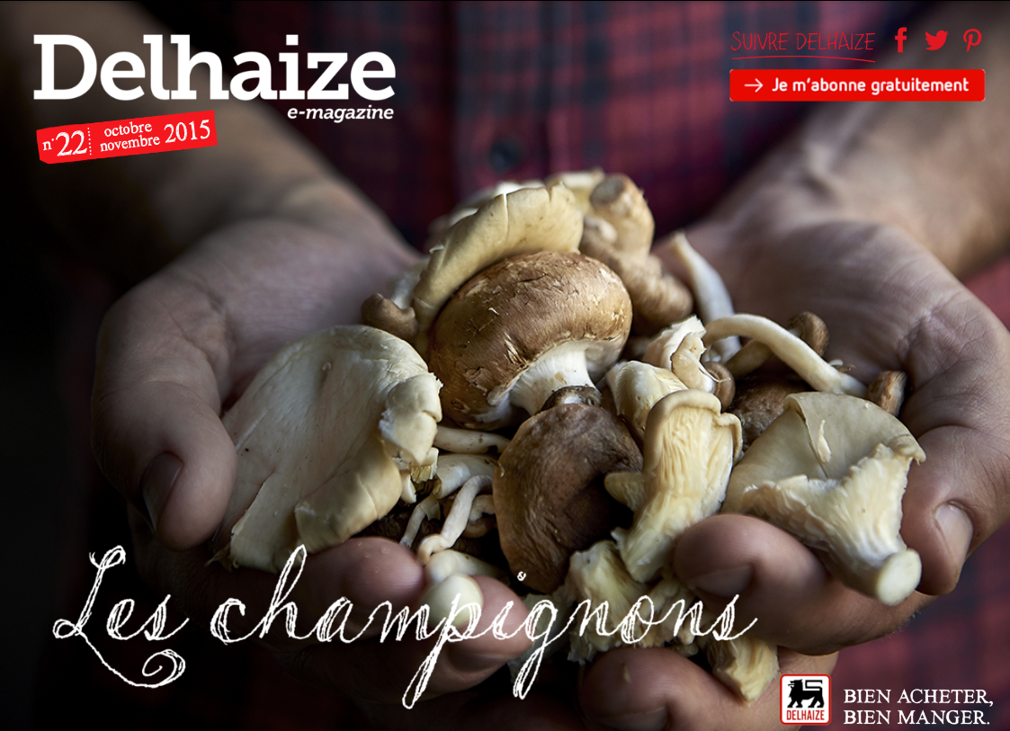 Delhaize magazine online